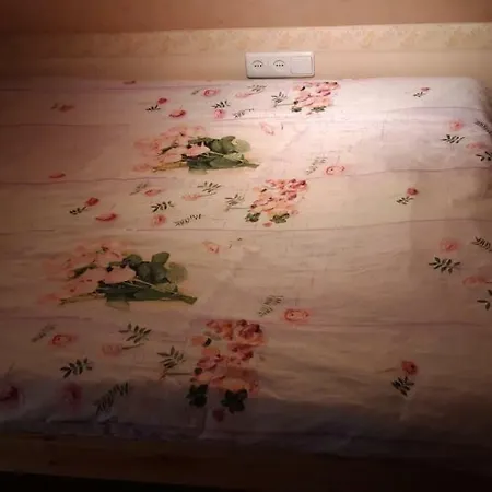 公寓 Old Town 塔尔图